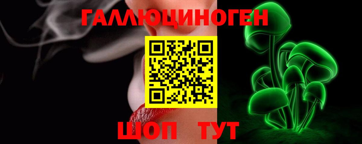 Псилоцибиновые грибы Psilocybine cubensis  Вход с VPN  Большой Камень 